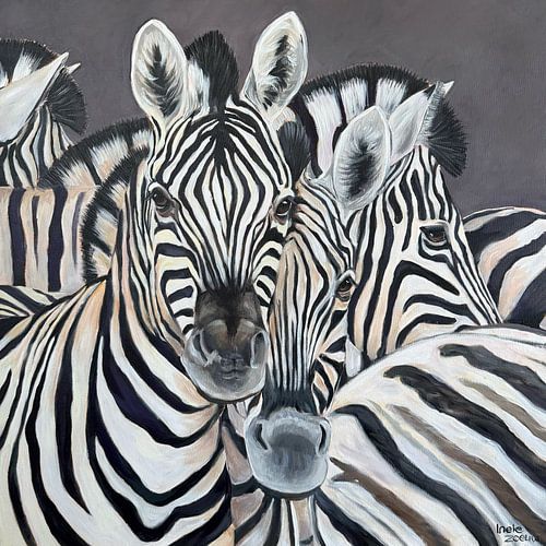 Zebras by Ineke Zeeuw