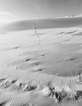 Structures in sand by DuFrank Images