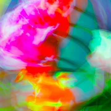 Moving tulips by Freddy Hoevers