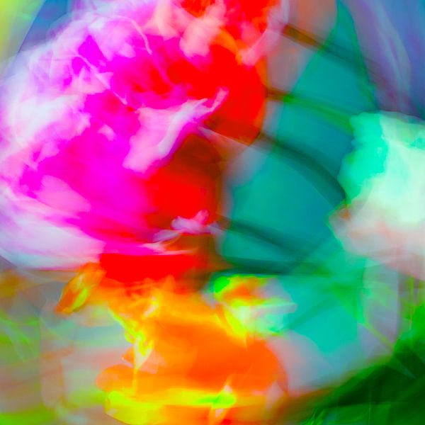 Moving tulips by Freddy Hoevers