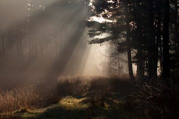 En toen was er licht van peter reinders