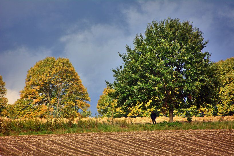 Champ d'automne 2 par Edgar Schermaul