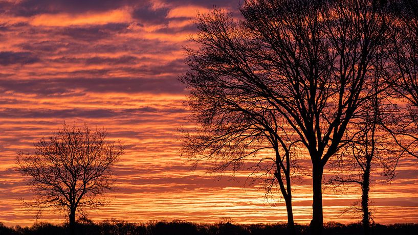 Matin par Bert Visser