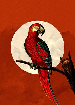 Tropische papegaai in het maanlicht van Mad Dog Art
