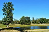 Zonovergoten Bosgebied