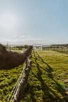 Sunny photo of a meadow, view of the pop-up restaurant: Löss | Nature Photography | Landscape Photog