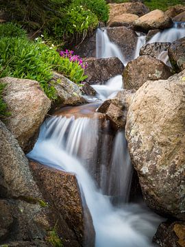 Petit ruisseau sur Denis Feiner