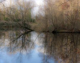 Winter scene by Nina Rotim