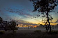 Sonnenaufgang Kootwijkerzand mit Nebel
