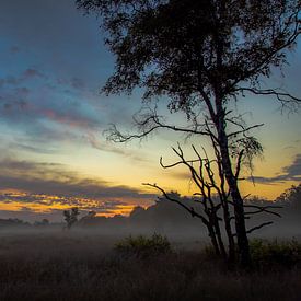 Sunrise Kootwijkerzand with fog by Neil Kampherbeek