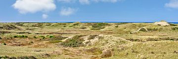 duinlandschap Noordhollands duinreservaat van eric van der eijk