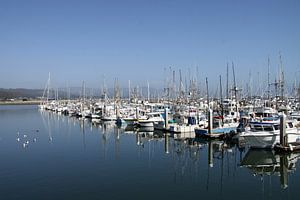 Half Moon Bay  Hafen