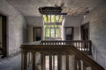 Urbex - Efeu