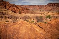 Rock drawings of Twyfelfontein by Antwan Janssen thumbnail