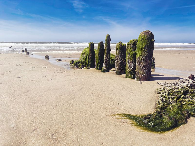 Buhnen am Strand von Sylt von HGU Foto
