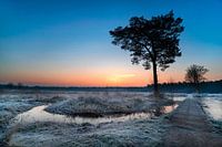 Warmte in de kou