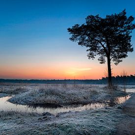 Warmth in the cold by Jarno van Osch