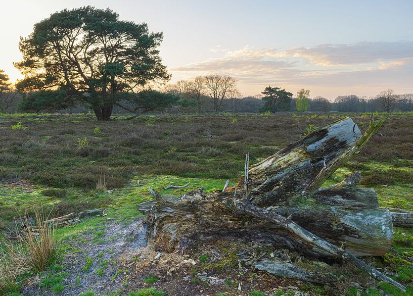 Sunset Schipborg - Drenthe (Netherlands) by Marcel Kerdijk