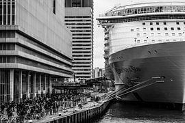 Harmony of the Seas | Rotterdam | 2016 van Shui Fan