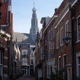 Een stadsgezicht van Haarlem van Manuuu