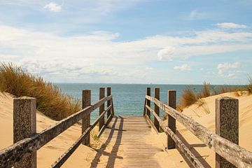 Naar het strand van Bert van Wijk