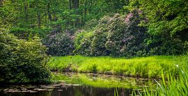 Westhove by Daniël Steenbergen