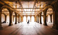Bethesda Terrace in Central Park