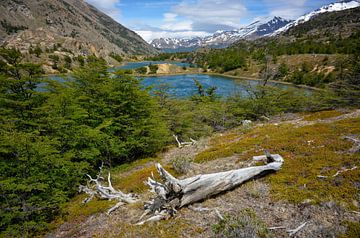 Patagonia Wilderness van Christian Peters