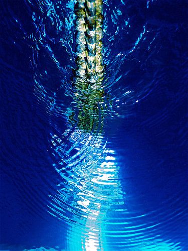 ChainReflexion - Middelste van een drieluik