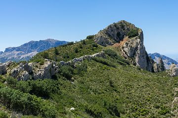 Étendue verte et ascension vers la crête de la montagne