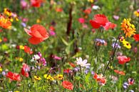 Bloemenweide van Jolanta Mayerberg thumbnail