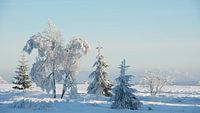 Winterlandschap van Elbert-Jan Achterberg thumbnail