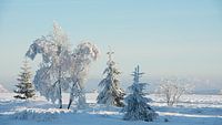 Winterlandschap