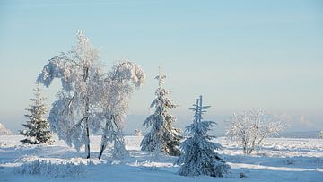 Winterlandschap van Elbert-Jan Achterberg