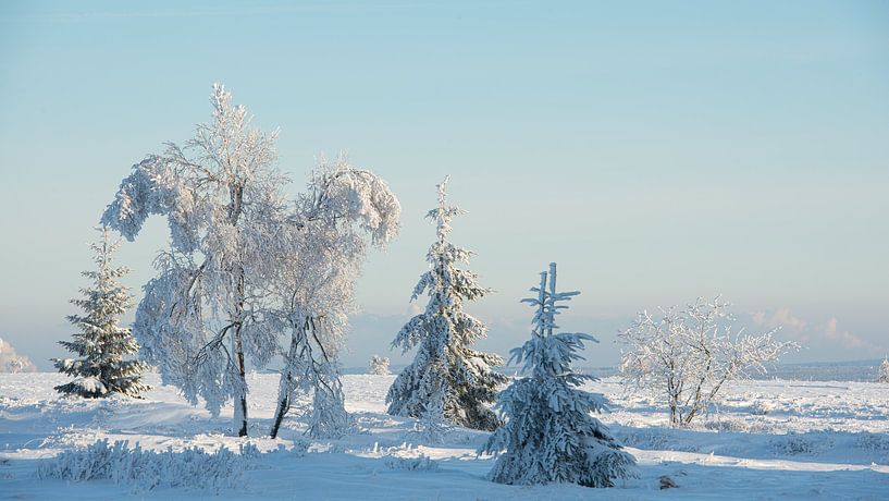 Winterlandschap van Elbert-Jan Achterberg