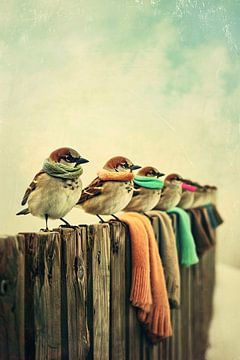 Vogels met sjaals op hek van Imperial Art House