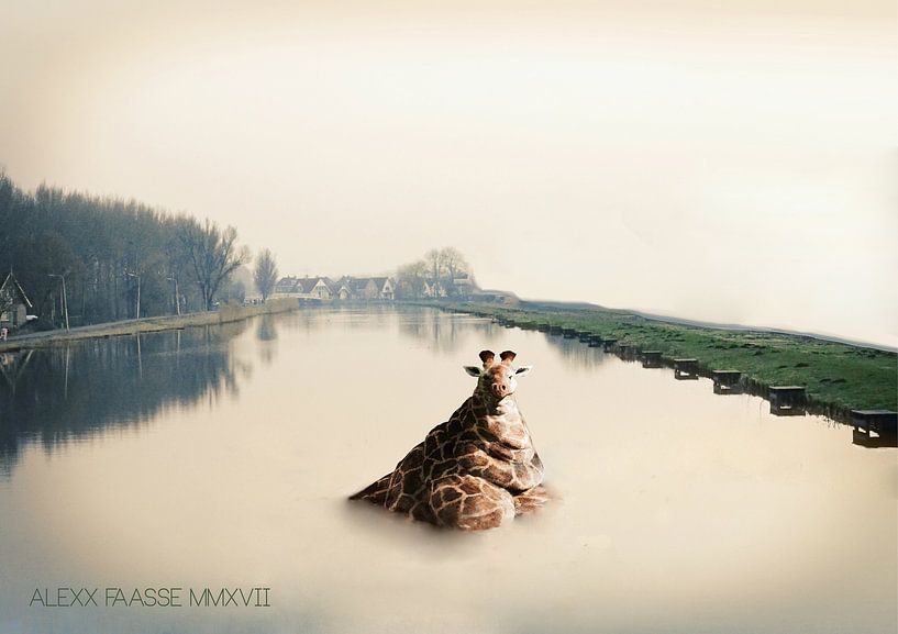 OBESE GIRAFFE CHILLING (ALEXX FAASSE, 2017) by Alex Faasse