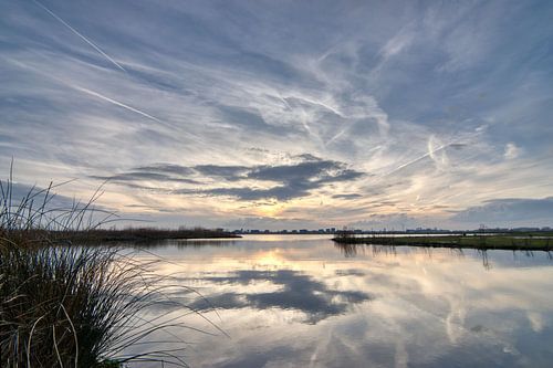 New Three Man Polder