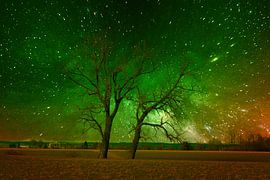 Nature spectacle by Photoart-Naegele