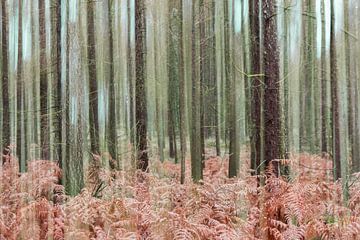 Dennenbos in de herfst van Esther Ehren