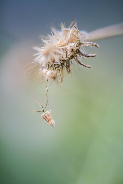 Don't let go van John Goossens Photography