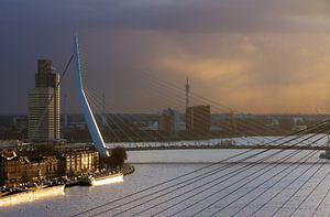 Erasmusbrug in het avondlicht sur Dennis van de Water