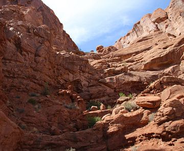 Arches National Park
