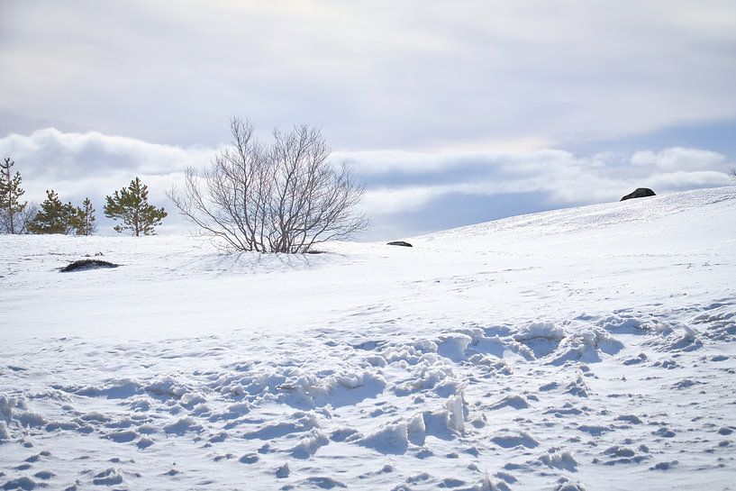 Norwegian high mountains, snow-covered mountains and landscape by Martin Köbsch