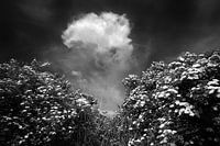 Un nuage qui s'élève