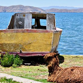 Nature morte avec bateau sur zam art