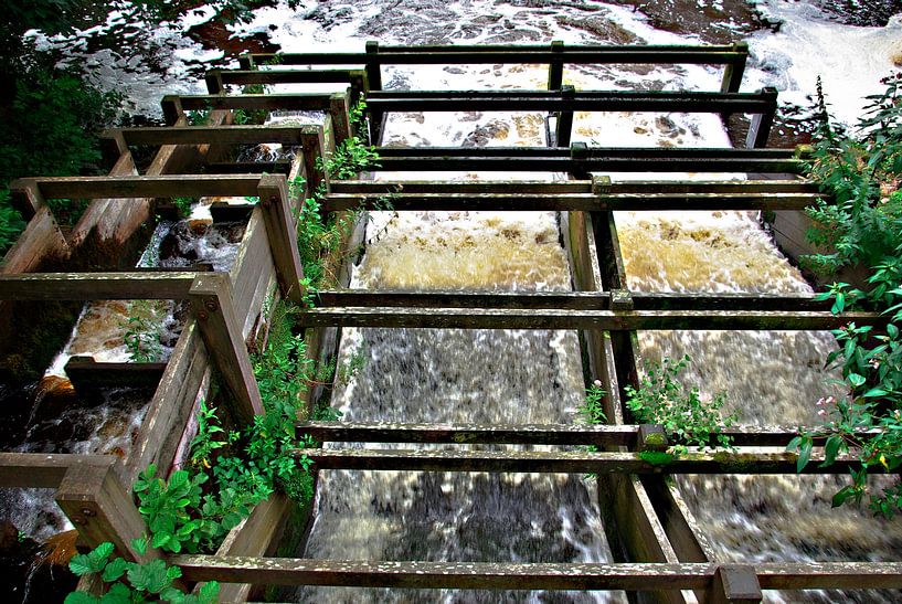 Fish ladder on a lake by Norbert Sülzner