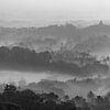 Borobudur im Morgennebel (schwarz-weiße Ausgabe) von Anges van der Logt