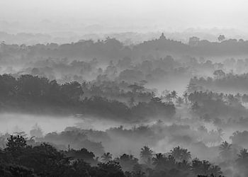 Borobudur dans la brume du matin (édition noir et blanc)