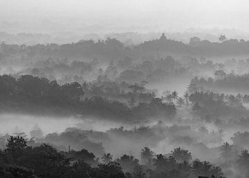Borobudur in the morning mist (black and white edition)